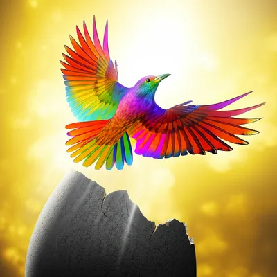 Illustration breaks - Image 1