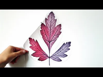 Illustration draughting - Image 1