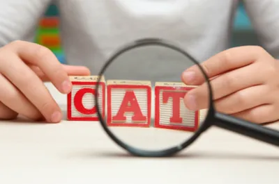 Illustration orthography - Image 1