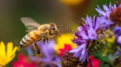 Illustration buzzing - Image 1