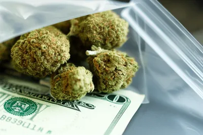 Illustration dub - Image 1