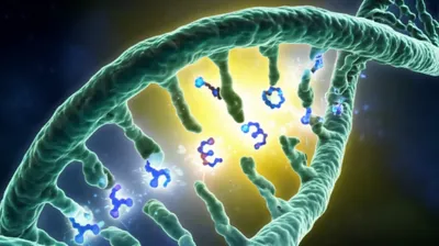 Illustration site - Image 1