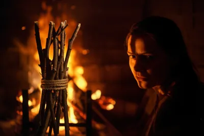 Illustration fagots - Image 1