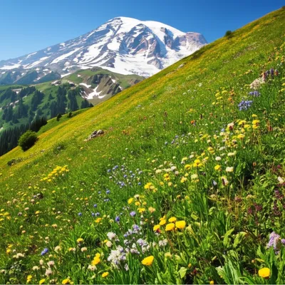 Illustration sloping