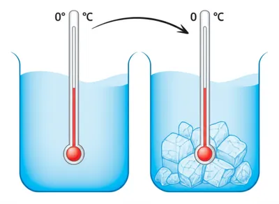 Illustration freeze - Image 1