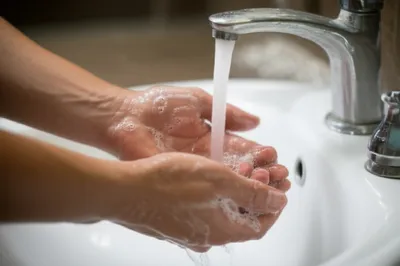 Illustration lavatories - Image 1