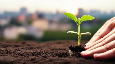 Illustration localise - Image 1