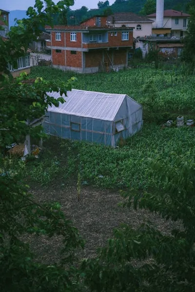 Illustration weeded - Image 3