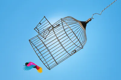 Illustration break - Image 1