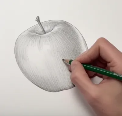 Illustration delineating - Image 1