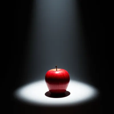 Illustration shone - Image 1