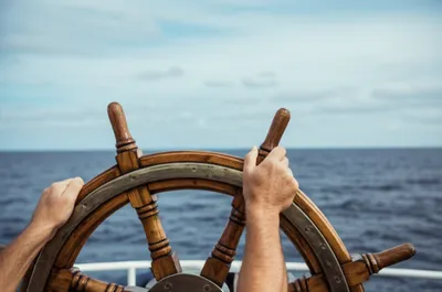 Illustration sterns - Image 1