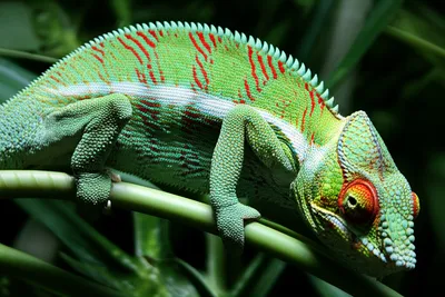 Illustration fit - Image 1