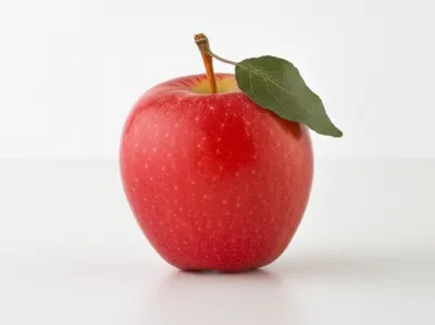 Hình ảnh minh họa denotation - Ảnh 1