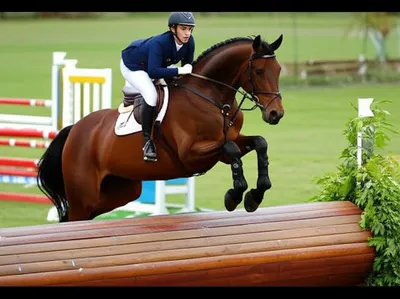 Illustration baulk - Image 1