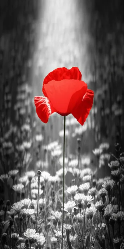 Illustration marking - Image 1