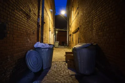 Illustration allies - Image 1