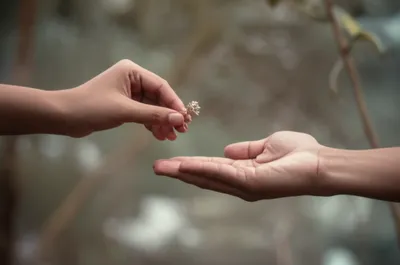 Illustration tactful - Image 1