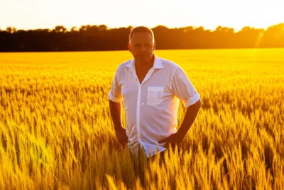 Illustration grown - Image 1