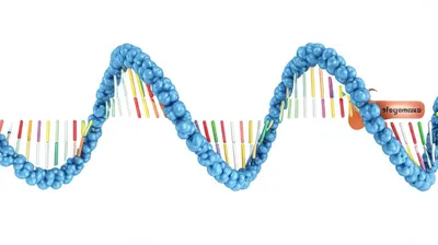 Illustration propagation - Image 1