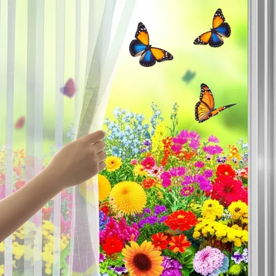 Illustration unhidden - Image 1