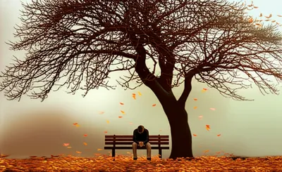 Illustration ruminative