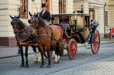 Illustration coaches - Image 1