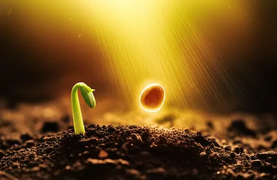 Illustration engender - Image 1