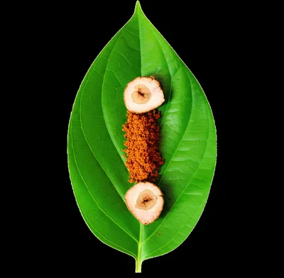 Illustration pan - Image 1