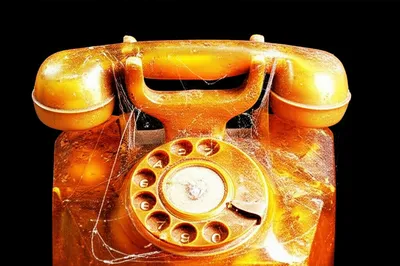 Illustration fossilized - Image 1