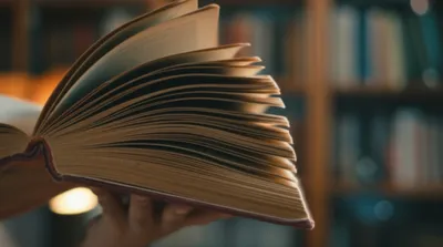 Illustration pages - Image 1