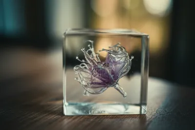 Illustration encases - Image 1