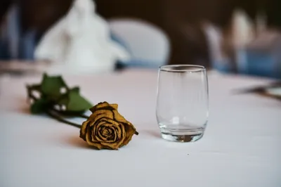 Illustration displeasing - Image 1