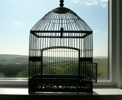 Illustration escaped - Image 1