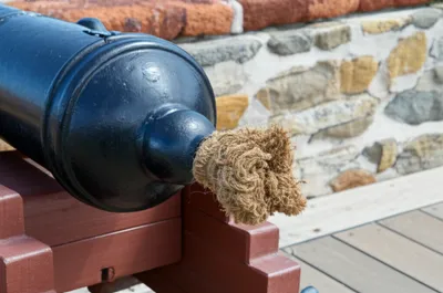 Illustration fid - Image 1