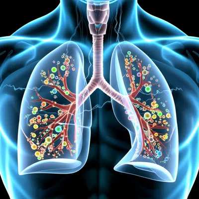 Illustration rales - Image 1