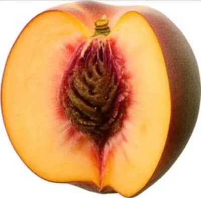 Illustration st - Image 1