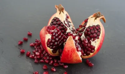 Illustration grenades - Image 1