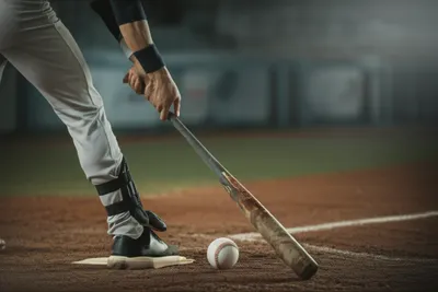 Illustration bunts - Image 1