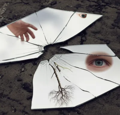 Illustration fragments - Image 1