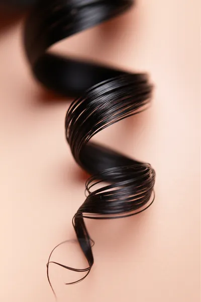 Illustration pubes - Image 1