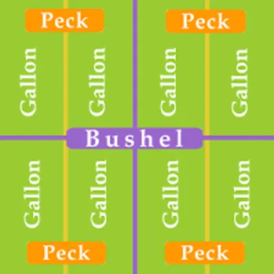 Illustration bushel - Image 3