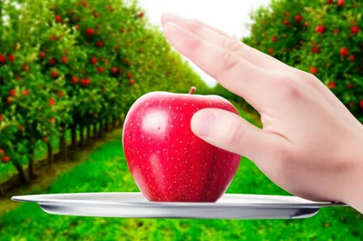 Illustration nay - Image 1