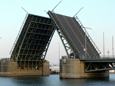 Illustration leaf - Image 1