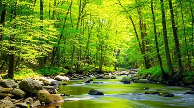 Illustration kill - Image 1