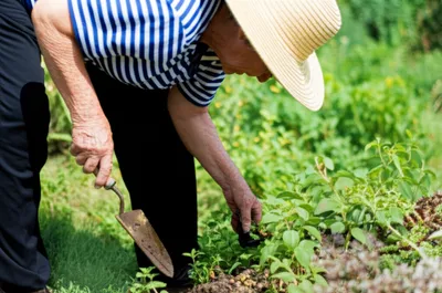 Illustration stoops - Image 1