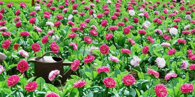 Illustration hacked - Image 1