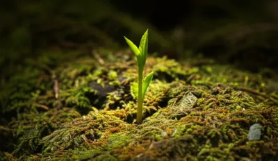 Illustration innovation - Image 1