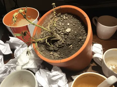 Illustration slack - Image 1