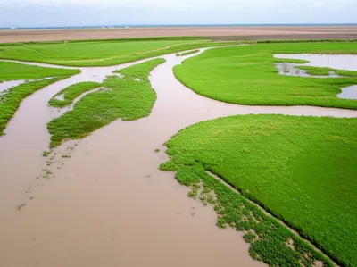 Illustration warps - Image 1